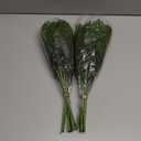 Hananona 40 Pcs Artificial Cedar Picks Faux Cedar Branches Fake Cypress Stems Plastic Pine Greenery Christmas Picks and Sprays DIY Accessories for Crafts Wreath Holiday Home Decor (40, Green)