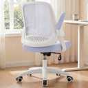 NEO CHAIR Office Desk Gaming Ergonomic Computer Chair with Lumbar Back Support Adjustable Height Swivel Rolling Wheels Flip-up Arms Mesh Chair for Home Vanity (Purple), 23.5 inches x 24.4 inches x 40 inches