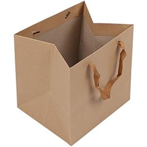 DraDraLee Brown Kraft Paper Gift Shopping Handle Bags for Package 13x13x13inch