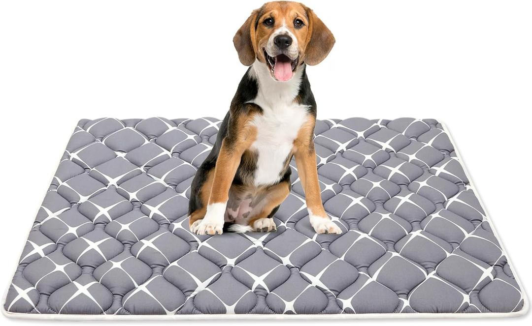 Bubble bear Dog Crate Mat - Ultra Soft, Washable & Anti-Slip Kennel Pad for Small/Medium/Large Dogs, Dark-Hued to Hide Stains (36"x23") (Gray)