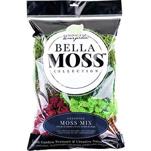 Preserved Moss Mix 200 cu in Bag