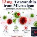 Astaxanthin 12 mg Softgels for Eye, Skin and Antioxidant Support, 120 Count | Microalgae-sourced, oil-based formula with one softgel daily for cellular wellness and a convenient four-month routine. (EXP 02/04/28)