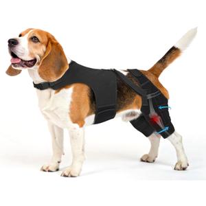 Dog Knee Brace for Torn ACL Hind Leg, Dog Leg Brace Helps Reduce Pain from Torn CCL, Luxating Patella, Ligament Injuries, Hip Dysplasia, M