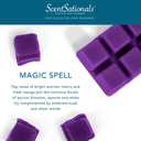 Scentsationals Wax Melts, Wax Cubes Strong Scent - Magic Spell - Long Lasting Scented for Warmer, 10oz (5-Cubes)