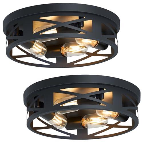 SKEJAO Flush Mount Ceiling Light Fixture,14 inch 4-Light Ceiling Light Fixture for Hallway, Black Hallway Light Fixtures Ceiling,Light Fixtures Ceiling Mount for Kitchen,Farmhouse,Hall (2 Pack)