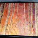 Samsung 55-Inch Class The Frame LS03F 4K QLED Smart TV (2025 Model) Slim Fit Wall Mount, Modern Frame Design, NQ4 AI Gen2 Processor, Art Mode, Artful Picture Quality, Samsung Vision AI, Alexa Built-in