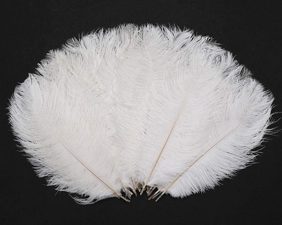 Hollosport 30PCS Bulk White Ostrich Feathers 10-12 Inches for Centerpieces Party Wedding Home Decorations Dream Catchers Vases Crafts Christmas Tree (White)
