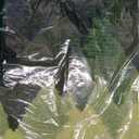 DEXI Bathroom Rugs Non Slip, 16x24 Washable Microfiber Bath Mat Quick Dry, Absorbent Ultra Soft Forest Trees Bathmat for Shower Floor Tub Sink, Green