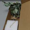 Artificial Eucalyptus Stems in Glass Vase with Faux Water, 13.5 Fake Plants for Home Decor, Coffee Table Centerpieces, Office, Bathroom & Farmhouse Weddings - Faux Greenery Plants Decorations