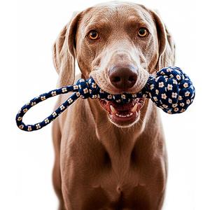 My Pet & Me - Durable Knotted Rope Dog Toy (13 Inch) - Playful Chew Toy for Puppies & Active Dogs - Great for Tug of War, Teething, and Interactive Play - Ideal for Indoor & Outdoor Fun