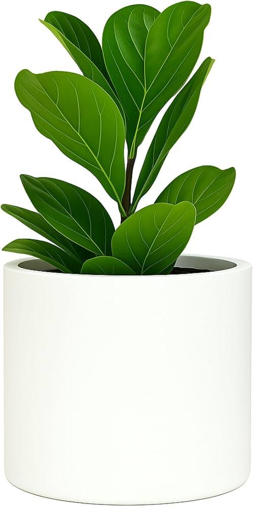Fox & Fern Plant Pot, Large Plant Pots for Indoor & Outdoor, UV & Frost Resistant Plant Vase with Drainage Plug, Fiberstone, Large Indoor Pots for Plants & Flowers, House Indoor Plant Pot, Single Pot, 18.7 Inch