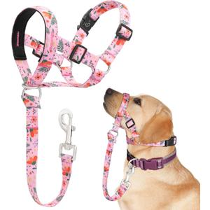 Dog Head Collar, Printed No-Pull Headcollar, Adjustable Dog Head Halter Gentle Lead with Safety Link, 3 Colors Muzzle Leash for Small Medium Large X-Large Dogs Easy Walks(Large, Mimosa)