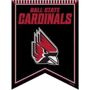Rico Industries NCAA 18" X 24" Rafter Felt Pennant