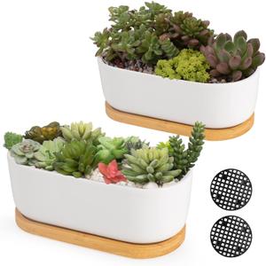 White Ceramic Succulent Plant Pots, Indoor and Outdoor Succulent Planters, Set of 2 Small Cactus Containers, Bonsai Pots, Flower Pots with Drainage Hole and Bamboo Bowl (No Plant)