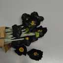 Riyuwal 6pcs Poppy Flowers Artificial Blue Silk Poppy Flower Real Touch Poppies Flower for Tall vase Wedding Home Party Table Centerpiece Arrangement Decor(Black)