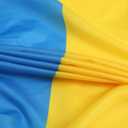 2 Pcs Ukraine Fan Flag,Ukrainians Pleated Fan Flag Bunting 3 x 6 Ft Pleated Banner Indoor/Outdoor/Front Porch Decorations,Country Half Fan Flag Patriotic Holiday Decorations.