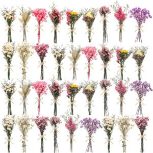 36 Pack Mini Dried Flowers for Vase Wedding Various Mini Bouquet Dried Small Wildflowers Natural Flowers Bulk for Crafts DIY Decor (36, Multicolor)