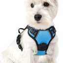 rabbitgoo Dog Harness No Pull with 2 Leash Clips, Adjustable Soft Padded, Reflective Oxford No Choke Pet Vest with Easy Control Handle for Puppy, Blue, XS