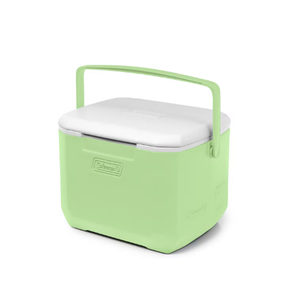 Chiller™ 16-Quart Portable Cooler, Green