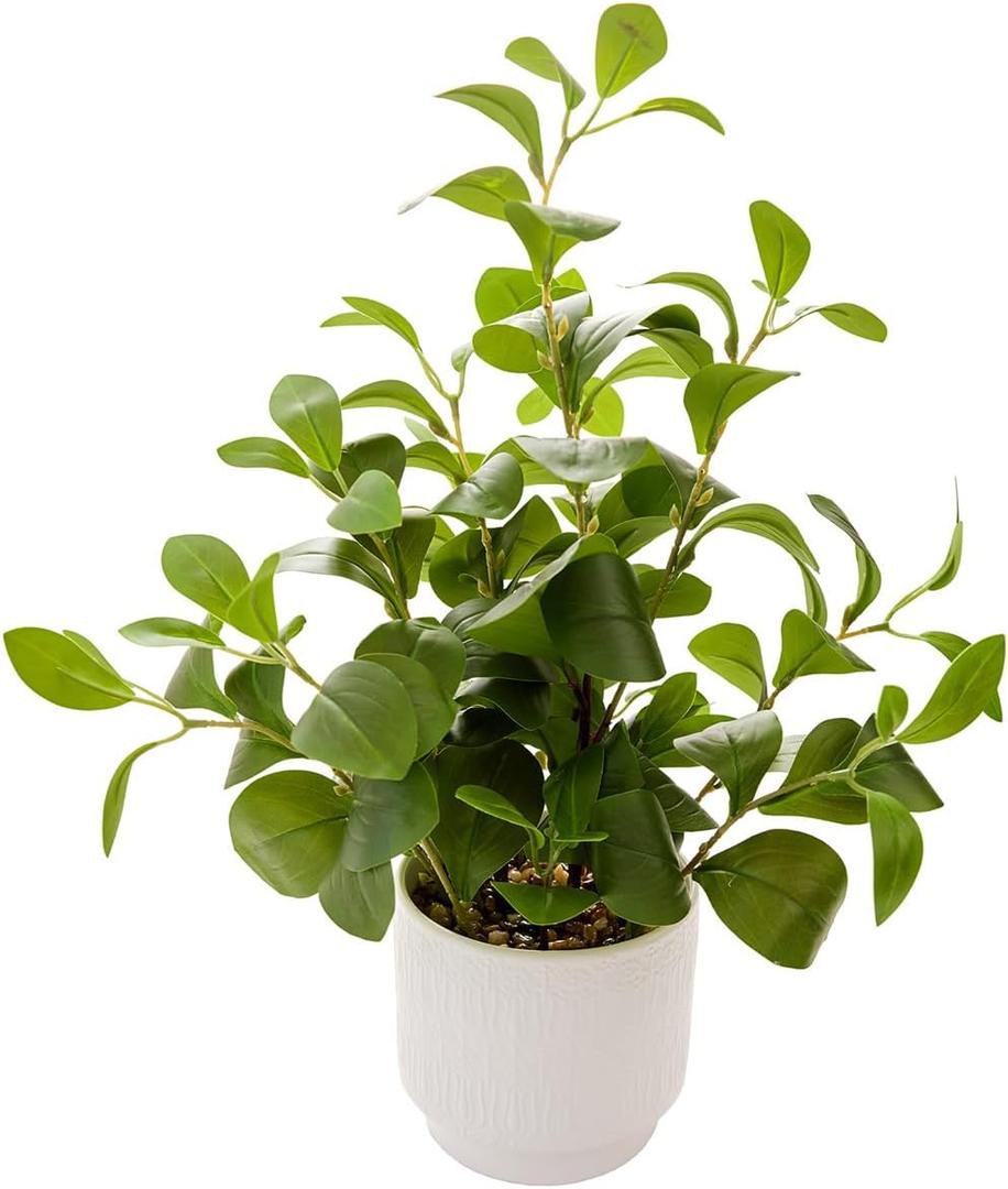 19'' Artificial Ficus Plant in White Textured Ceramic Pot Realistic Faux Greenery with Lifelike Leaves Fake Plants for Indoor Home Office Bathroom Shelf Desk Tabletop Decor