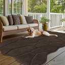 BSICPRO Extra Large Long Dog Mat for Muddy Paws, 71x47 In Washable Microfiber Mud Trapper Rug for Entryway, Non-Slip Absorbent Mat for Dogs Pets (Latte)