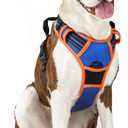 rabbitgoo Dog Harness No Pull with 2 Leash Clips, Adjustable Soft Padded, Reflective Oxford No Choke Pet Vest with Easy Control Handle for Large Dogs, Blue & Orange, L
