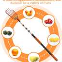 SISIUPASSIE 26FT Reach Fruit Picker, Apple Picker Pole with Basket Telescoping Tool for Apple Lemon Orange Mango Avocado Fruit Tree Picking