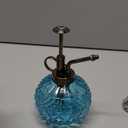 OFFIDIX Glass Plant Mister, 300ML Vintage Spray Bottle Plant Spritzer with Top Pump Fine Mist,Small Decorative Watering Can for Indoor Outdoor Succulent and Other Live Plants (Light Blue)