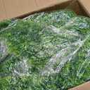 RECUTMS 3 Pcs Artificial Fake Hanging Ferns Plants Vine Ivy Outdoor UV Resistant Plastic Faux Plant for Outside Decoration (Green)