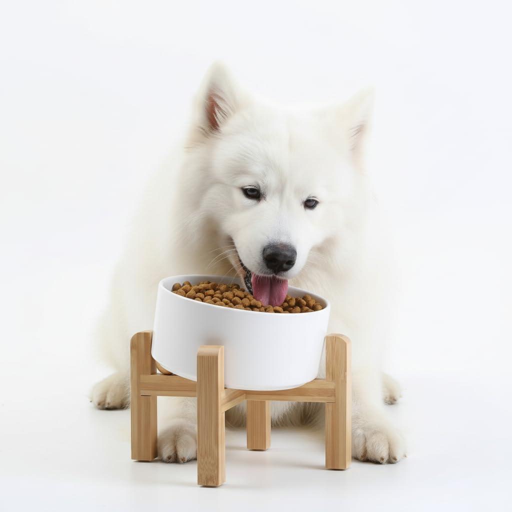 Petygooing White Elevated/Raised 15Slanted Ceramic Dog Bowl for Small and Medium Breeds, Tilted Anti Slip Pet Feeding Bowl,Food Water Dish with Stand for Cats and Dogs (28 OZ/3.6 Cups)