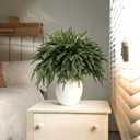 16 Pcs Artificial Norfolk Pine Branches - Real Touch Pine Stems Fake Plants Pine Picks Faux Greenery Stems for Vase DIY Crafts Garland Wreath Christmas Indoor Outdoor Home Decor