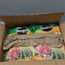 Miracle-Gro Cactus, Palm and Citrus Potting Mix, for Indoor or Outdoor Potted Plants, Great for Succulents, 8 qt., 2-Pack