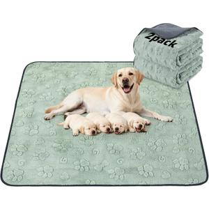 LOOBANI Washable Pee Pads for Dogs: 2 Pack Super Absorbent Reusable Puppy Pads, Leakproof and Waterproof Dog Training Pads Whelping Pads for Potty, Floor, Crate, Couch, Bed and Travel, 48"x48" (Green Dog Element)