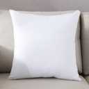 20 x 20 Pillow Insert