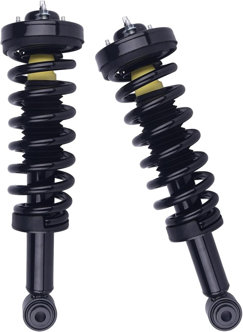 PAROD Pair 171140 Front Shock Absorber Strut Fit for 2009-2013 Ford F-150 w/Coil Spring Assembly Passenger&Drive Side