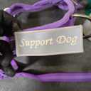 EzyDog Quick Fit Dog Harness – No Pull Harness for Training, Everyday Walking, and Easy Control - Adjustable Fit, Reflective, and Padded (Large, Purple)