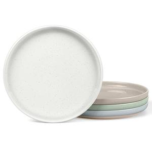LIANYU Dinner Plates Set of 4, 10.5 Inch Large & Round Porcelain Dinner Plates, Stoneware Dishes Set for Serving Salad, Dessert, Appetizer, Oven, Microwave & Dishwasher Safe, Stackable, Four-color