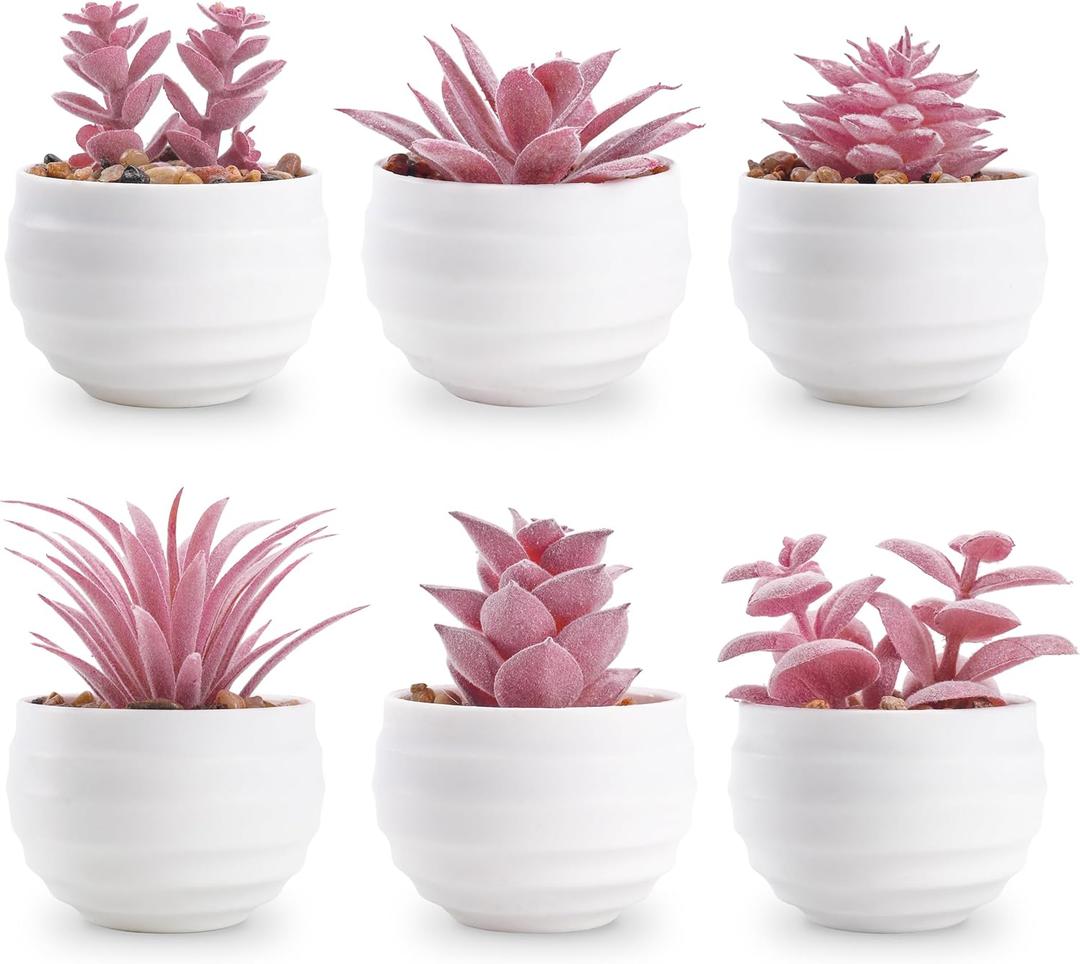 Der Rose Set of 6 Pink Succulents Plants Artificial in Pots Small Fake Plants for Girls Pink Room Decor Office Desk Accessories for Women Der Rose Set of 6 Pink Succulents Plants Artificial in Pots Small Fake Plants for Girls Pink Room Decor Office Desk Accessories for Women