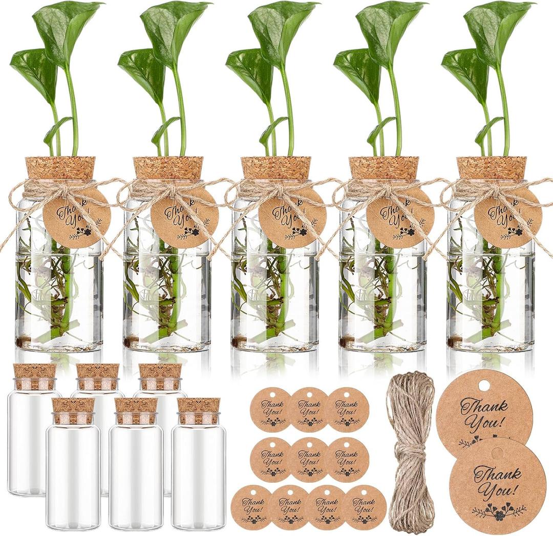 Baderke 12 Pack 3.54'' Plastic Plant Propagation Stations with Hole Lid 4oz Planter Vase Clear Propagation Jars with Thank You Tags for Plant Lover Gifts for Women Office Home Garden
