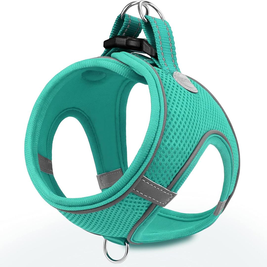 Joytale Small Dog Harness, Breathable Mesh Step-in Vest, Reflective Soft Padded Harnesses Small Sized Dog for Walking, Teal, S (S--Chest: 15-16.5'')