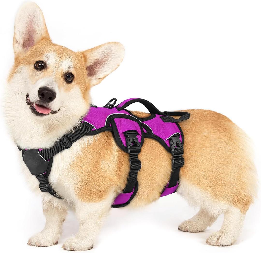 rabbitgoo Escape Proof Dog Harness, Soft Padded Full Body Pet Harness, Reflective Adjustable No Pull Vest with Lift Handle and Lesh Clip for Large Dogs Walking Hiking Training, S, Purple (Small (Pack of 1))