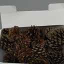 24 PCS Natural Pine Cones, 1.96 in Pinecone Ornaments, Rustic Pine Cones for Crafts, Winter Decorations for Home, Bulk Pines Cone with Gold String for Christmas Table Decor DIY Christmas Ornaments