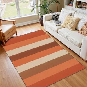 4x5 Boho Rug Rugs for Living Room Rugs for Entryway Burnt Orange Brown Navajo White South Western Blanket Stripes Seamless Bedroom Rug Door Mat Nursery Room Decor Rainbow Carpets (4x5.2 ft, Color 8)
