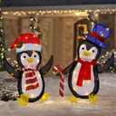 WATERGLIDE Set of 2 Lighted Christmas Tinsel Penguins, Pre-Lit 2D Stacked Penguin with Incandescent Lights, Light Up & Plug in for Indoor Outdoor Festive Xmas Holiday Garden Yard Lawn Decor