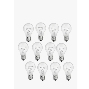 JUNFMLY 100 Watt Incandescent Light Bulbs, A19 100 WATT Incandescent Bulb Shatter Resistant Rough Service Light Bulb (12PACK)