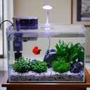 Vimvins 5 Gallon Glass Small Fish Tank with Filter Light and Lid, Betta Aquarium Starter Kits