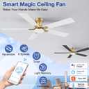 52 Inch Ceiling Fans with Lights,Smart Low Profile Ceiling Fan with Light and Remote Control,Modern Flush Mount Ceiling Fans for Bedroom,Patio,Porch,Outdoor Indoor Use,Quiet,in Black White and Gold