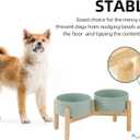 Havniva Ceramic 6.1inch Raised Dog Bowl with Stand for Small and Medium Breed Dog Dish Pet Food and Water Bowl (Double Bowl with Stand - Light Green, 28oz)