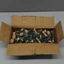 30pcs Mini Christmas Trees, Artificial Christmas Pine Tree Mini Bottle Brush Trees Tabletop, Small Sisal Trees with Wooden Bases, Xmas Holiday Home Decor (Green-A)