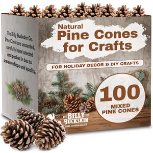 100 Mix Size Natural Pine Cones for Decorating - 50 Medium & 50 Small Pinecones for Crafts, Home Decor, Vase Fillers & Christmas Trees - Unscented Pinecone Decor for Home by Billy Buckskin